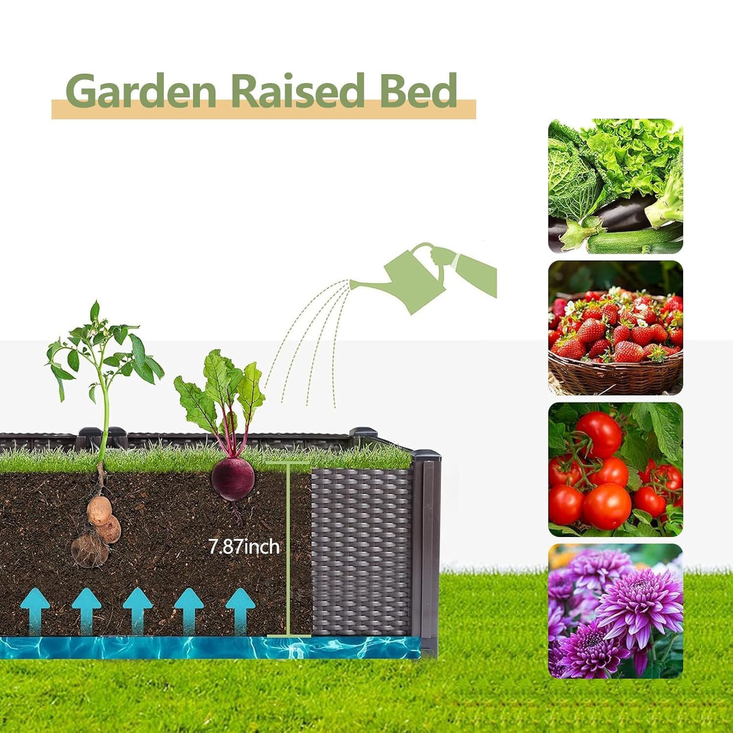 Kotak Tanaman Plastik Besar 16 - Outdoor Daybed Furniture ulasan dan harga